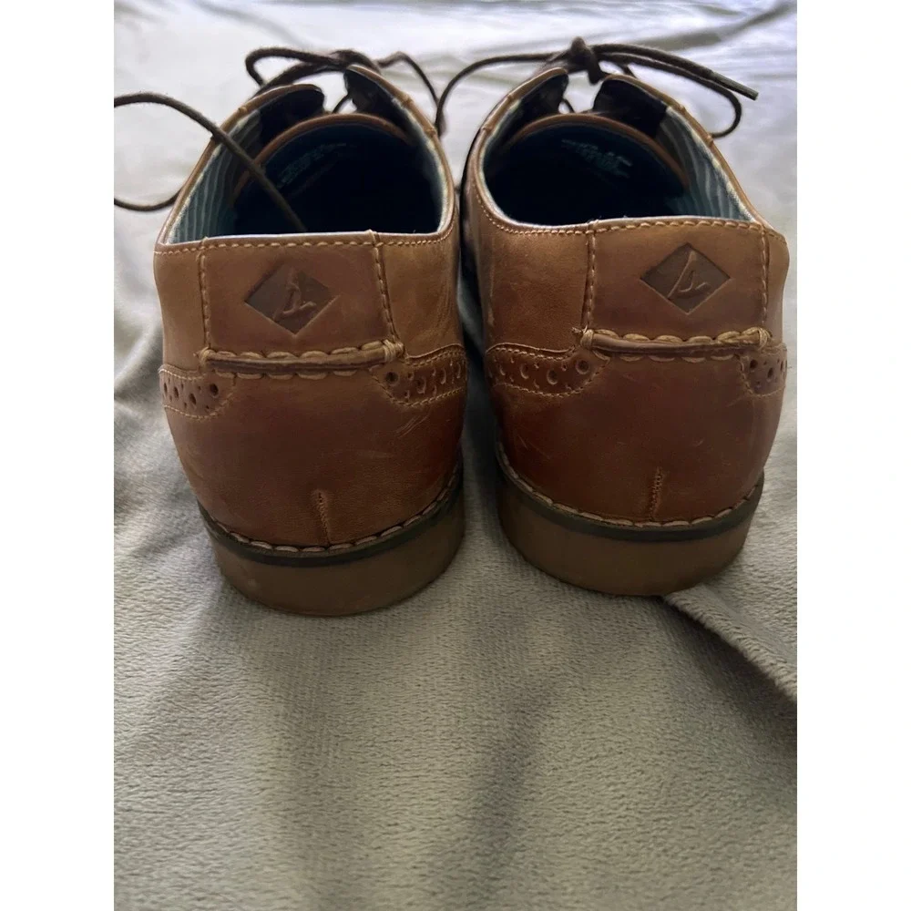 Sperry Top-Sider Mens 8.5M Brown Leather Wingtip Oxford‎ Shoes